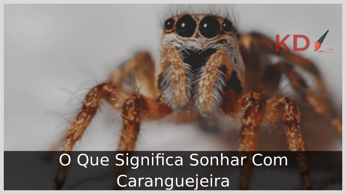 O Que Significa Sonhar Com Caranguejeira! 6 O Que Significa Sonhar Com Caranguejeira!