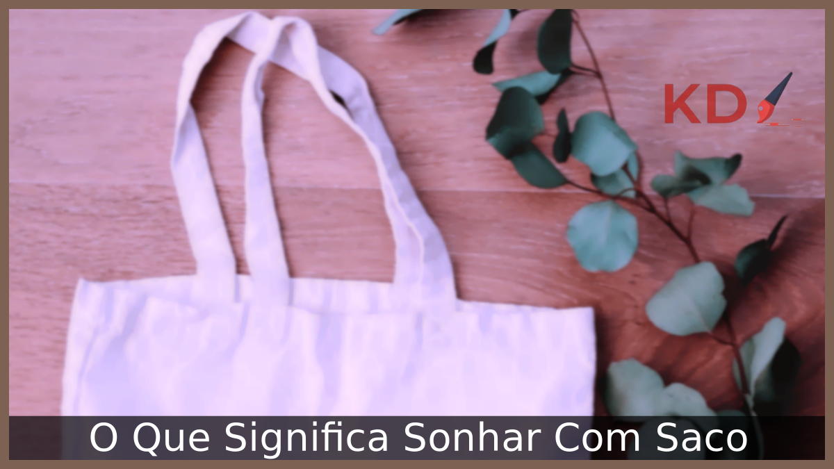 O Que Significa Sonhar Com Saco 20 O Que Significa Sonhar Com Saco
