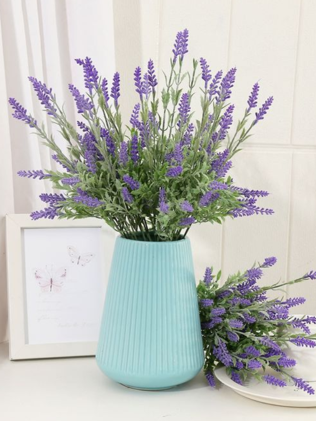 Plantas de interior para PERFUMAR sua casa