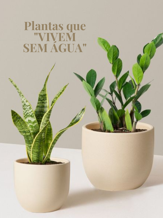 Plantas que 