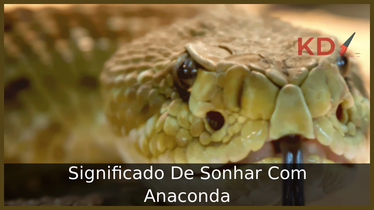 Significado De Sonhar Com Anaconda