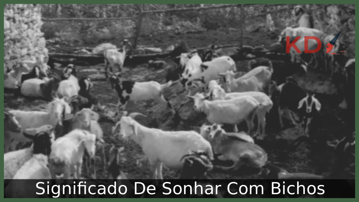 Significado De Sonhar Com Bichos