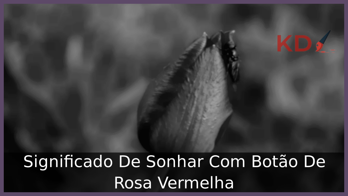 Significado De Sonhar Com Botão De Rosa Vermelha 21 Significado De Sonhar Com Botão De Rosa Vermelha