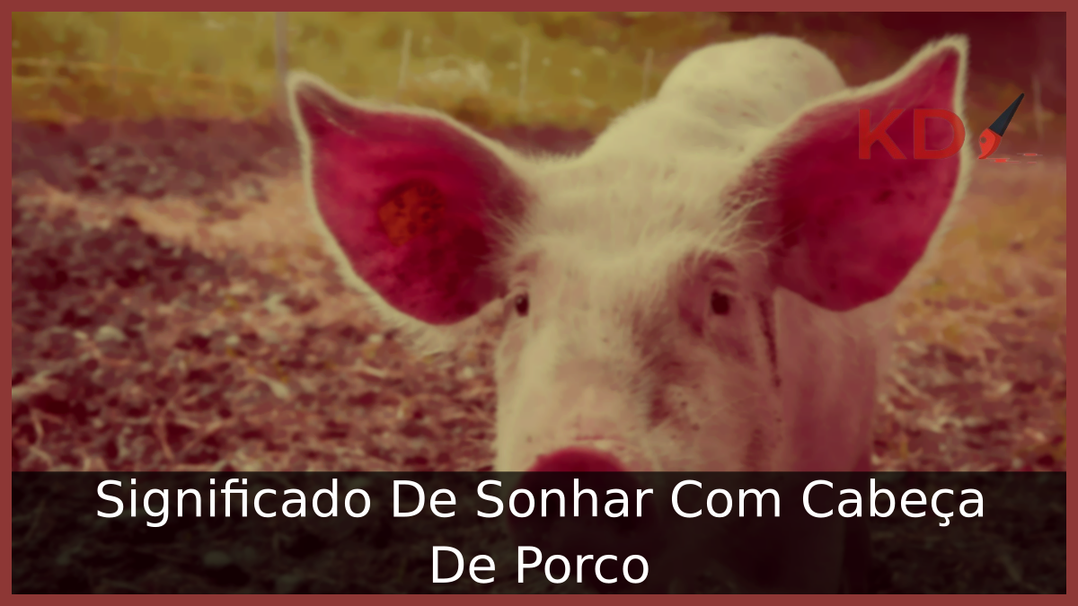 Significado De Sonhar Com Cabeça De Porco