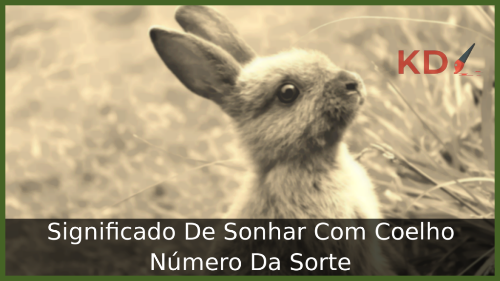 Significado De Sonhar Com Coelho Número Da Sorte