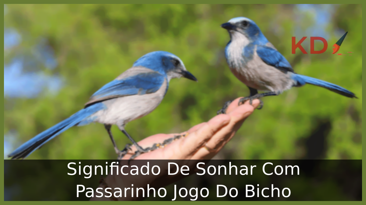 Significado De Sonhar Com Passarinho Jogo Do Bicho 14 Significado De Sonhar Com Passarinho Jogo Do Bicho