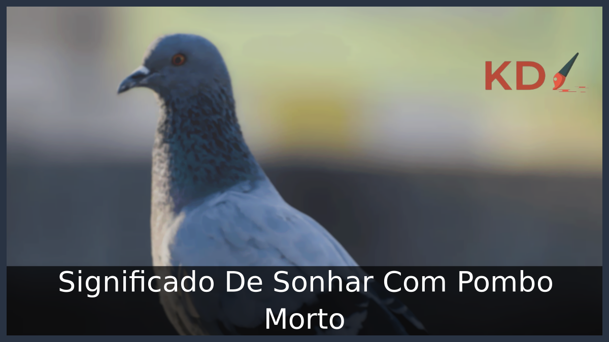 Significado De Sonhar Com Pombo Morto! 17 Significado De Sonhar Com Pombo Morto
