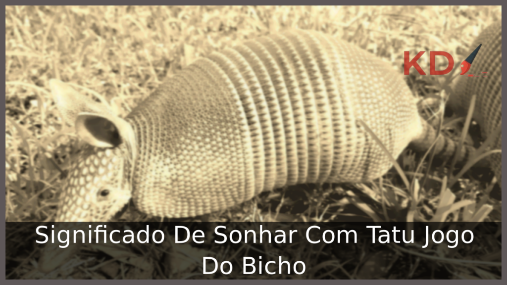 Significado De Sonhar Com Tatu Jogo Do Bicho