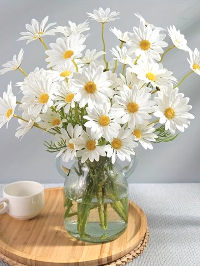 Vaso com margaridas: plantas que FLORESCEM FACILMENTE ao ar livre em qualquer estação