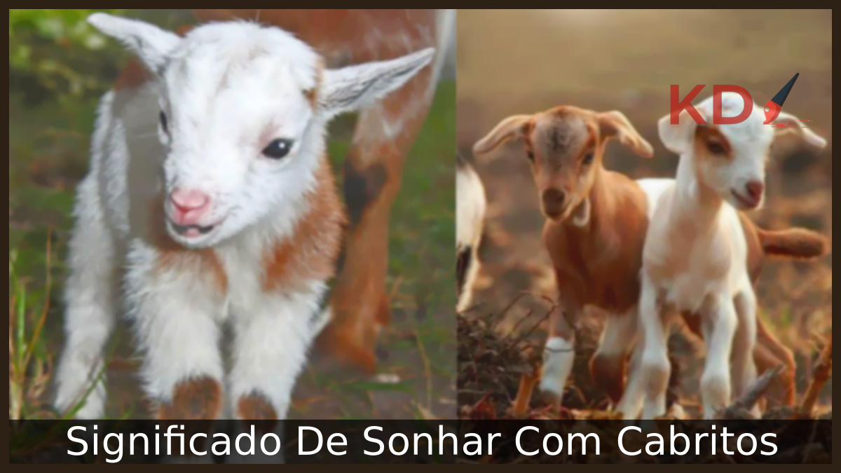 Sonhar Com Cabritos