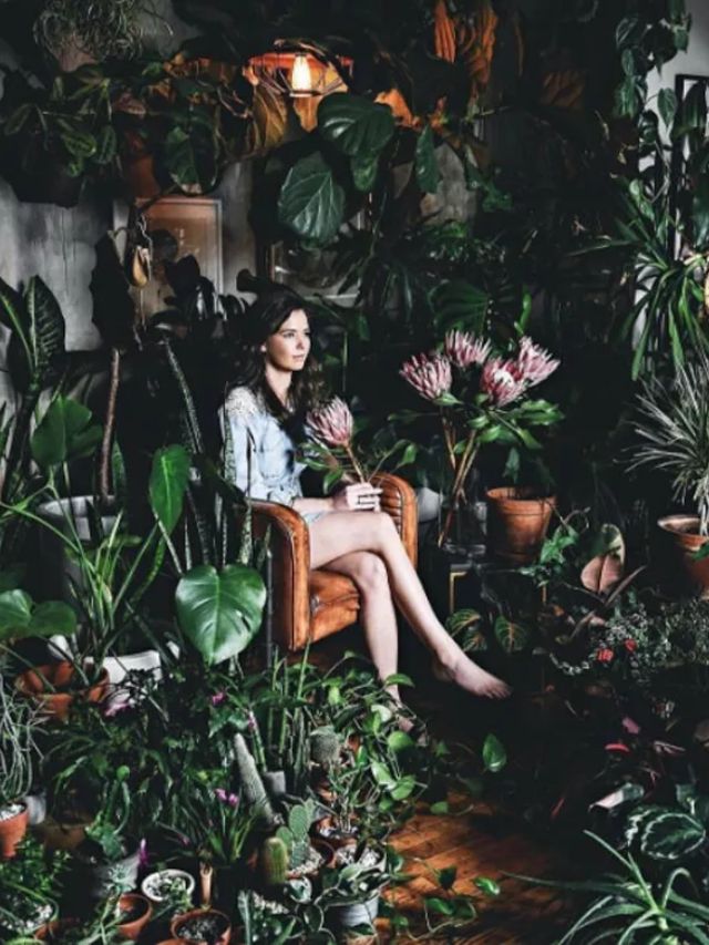 REPRODUZIR suas PLANTAS em CASA