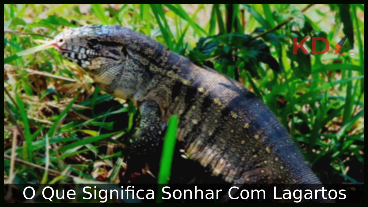 Sonhar Com Lagartos