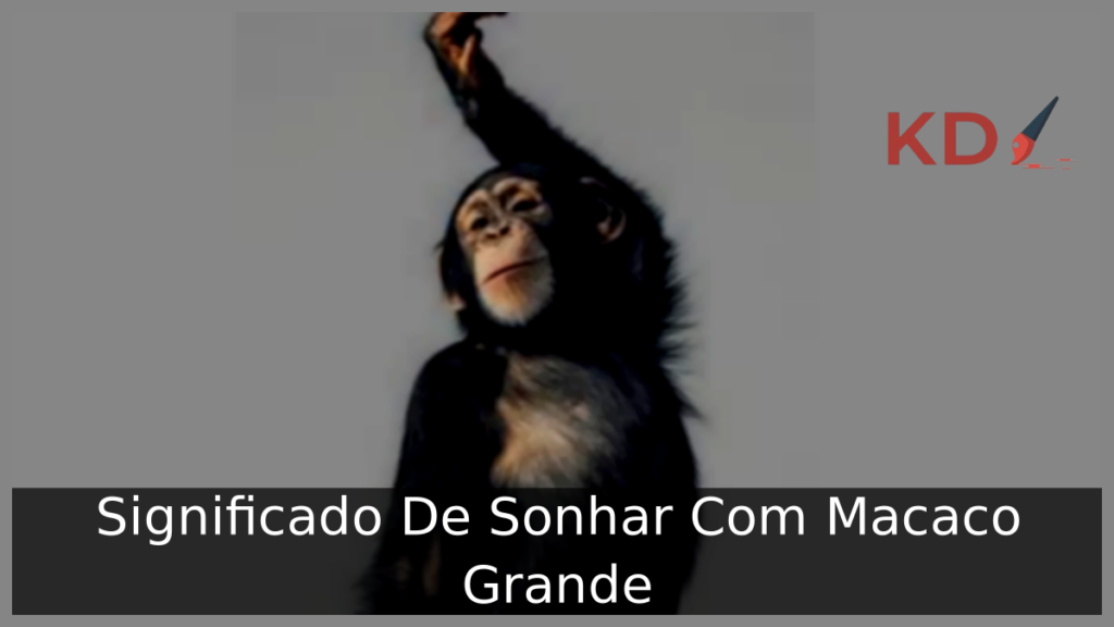 Sonhar Com Macaco Grande