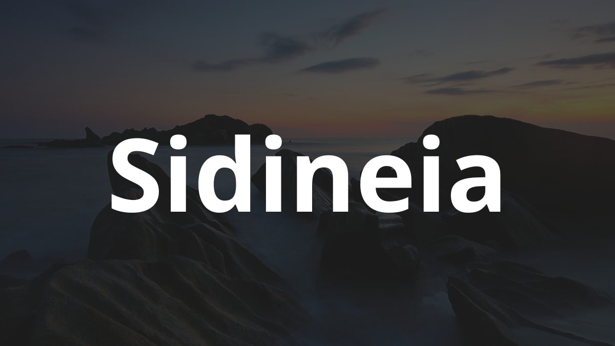 Significado do nome Sidineia: História e origem! 3 Significado do nome Sidineia
