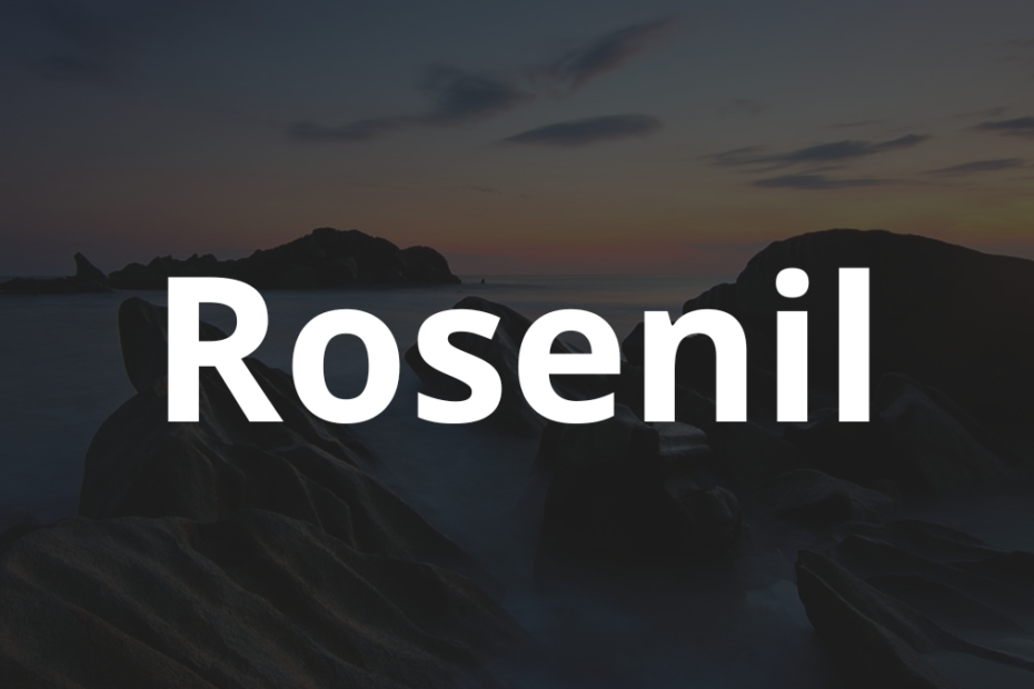 Significado do nome Rosenil