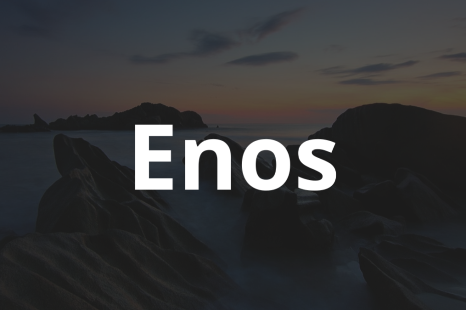 Significado do nome Enos