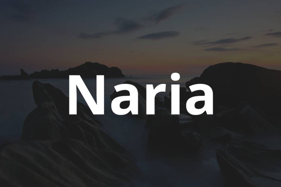 Significado do nome Naria: História e origem! 10 Significado do nome Naria