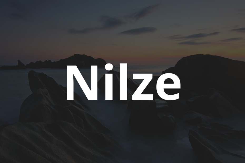 Significado do nome Nilze