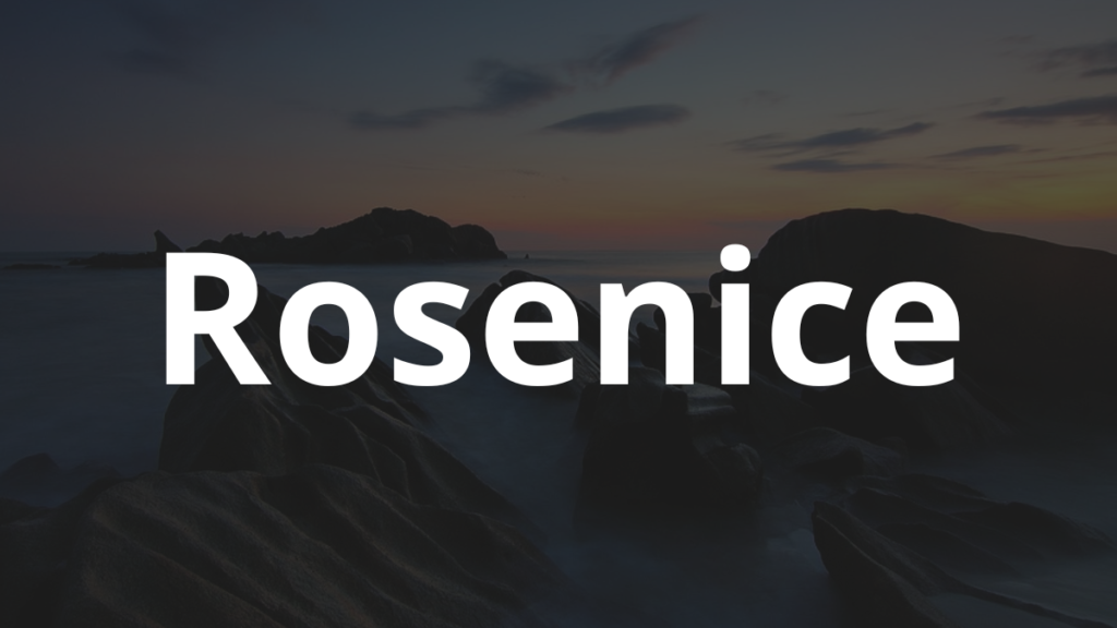 Significado do nome Rosenice