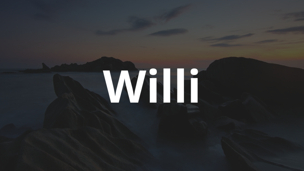 Significado do nome Willi