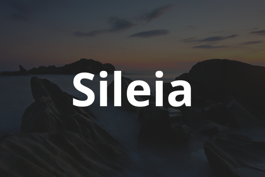 Significado do nome Sileia: História e origem! 1 Significado do nome Sileia
