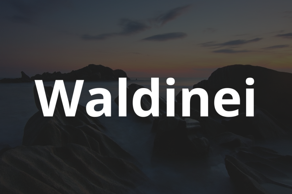 Significado do nome Waldinei: História e origem! 1 Significado do nome Waldinei