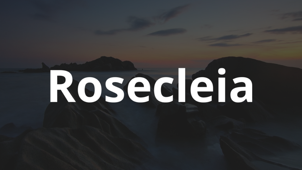 Significado do nome Rosecleia: História e origem! 1 Significado do nome Rosecleia