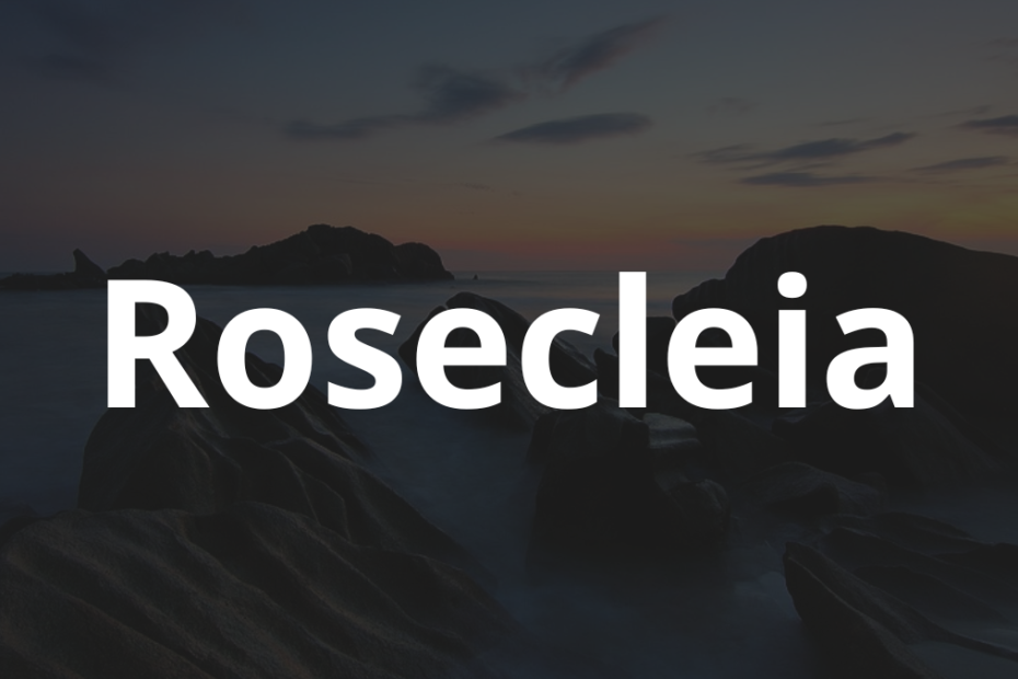 Significado do nome Rosecleia: História e origem! 2 Significado do nome Rosecleia