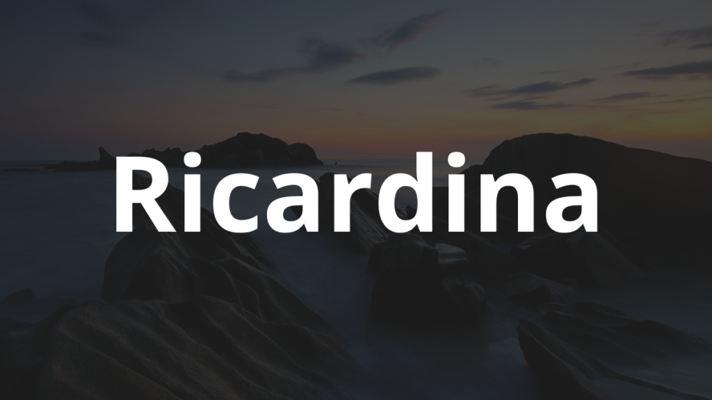 Significado do nome Ricardina: História e origem! 1 Significado do nome Ricardina