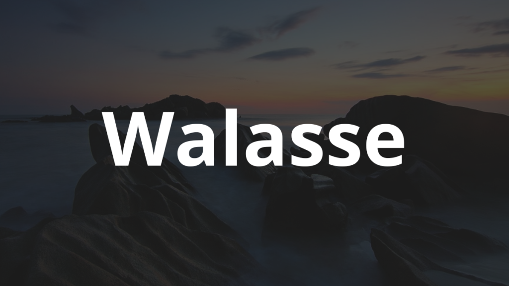 Significado do nome Walasse: História e origem! 1 Significado do nome Walasse