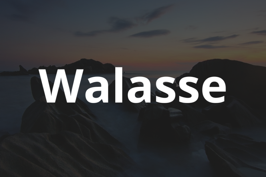 Significado do nome Walasse: História e origem! 10 Significado do nome Walasse