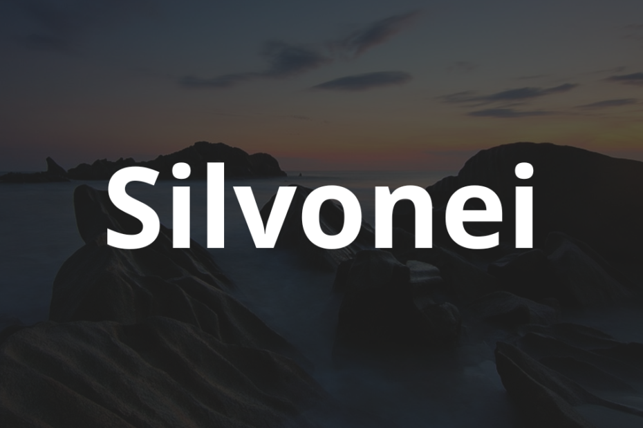 Significado do nome Silvonei: História e origem! 12 Significado do nome Paricia