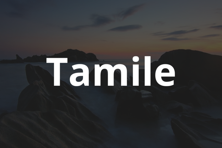 Significado do nome Tamile: História e origem! 9 Significado do nome Tamile