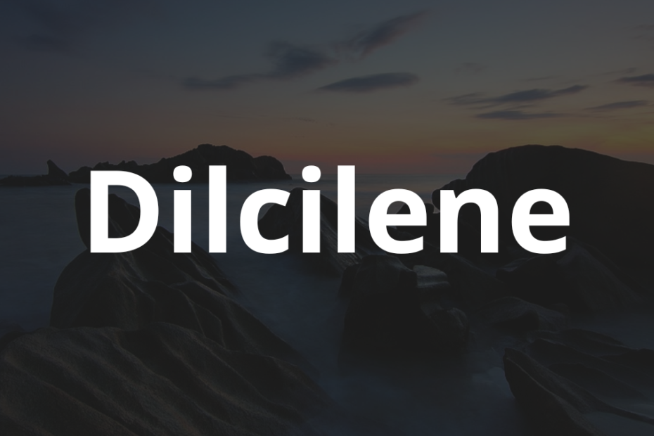 Significado do nome Dilcilene: História e origem! 10 Significado do nome Dilcilene