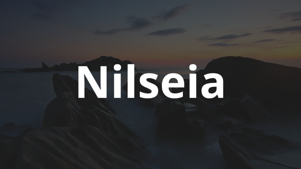 Significado do nome Nilseia: História e origem! 1 Significado do nome Nilseia