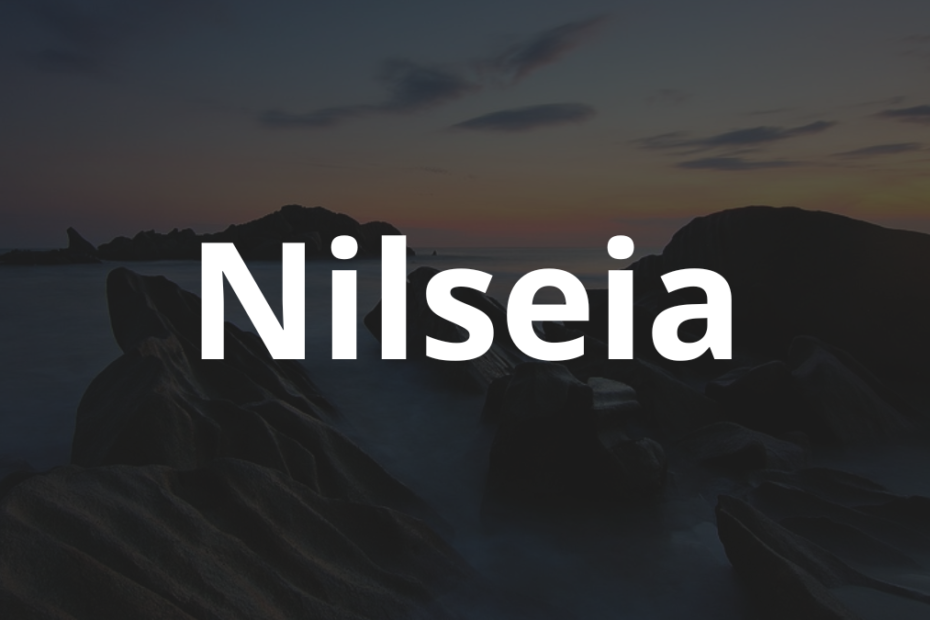 Significado do nome Nilseia: História e origem! 8 Significado do nome Nilseia