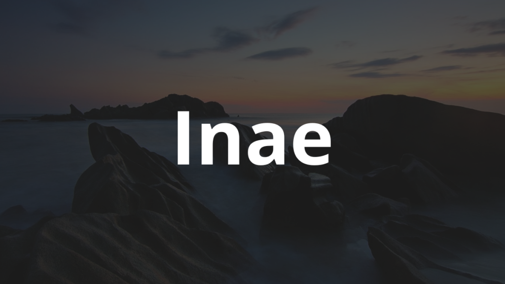 Significado do nome Inae: História e origem! 1 Significado do nome Inae