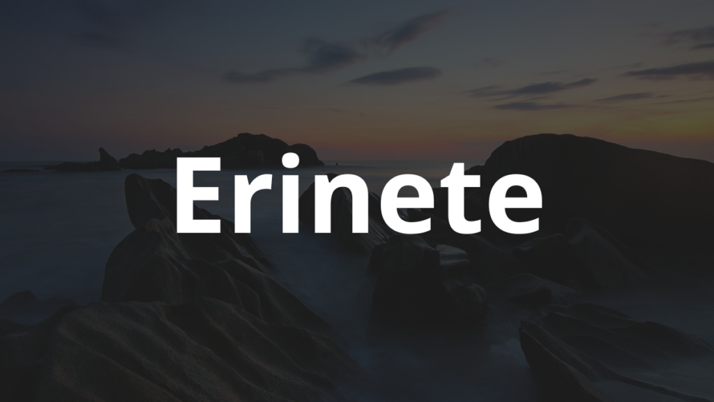 Significado do nome Erinete