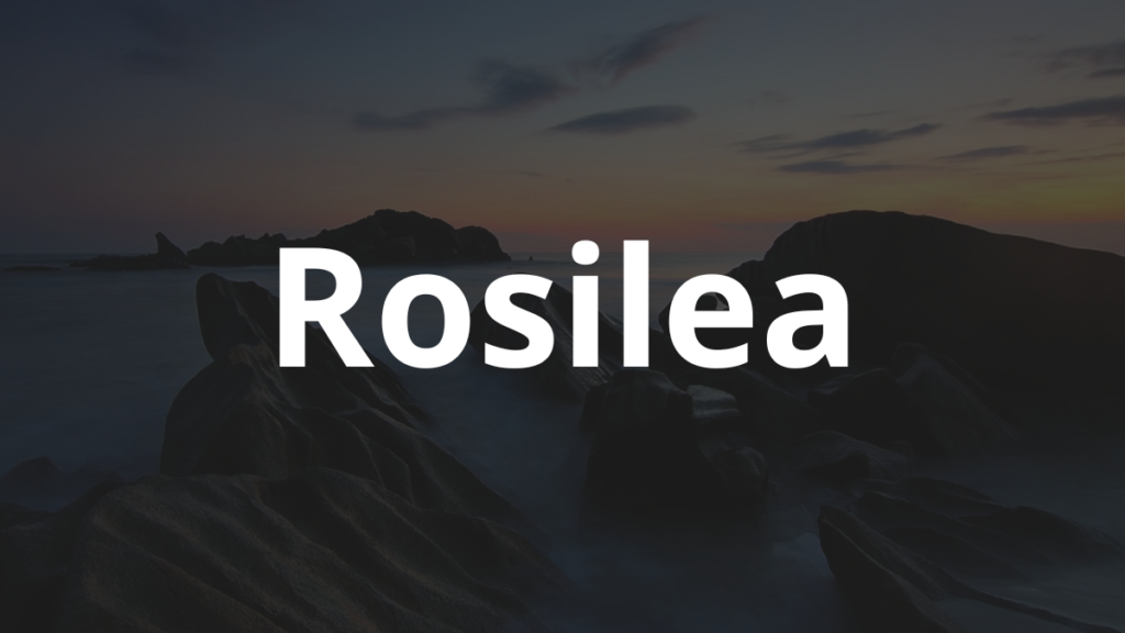 Significado do nome Rosilea