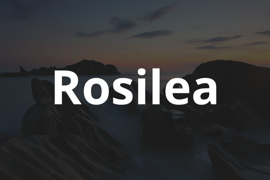 Significado do nome Rosilea: História e origem! 4 Significado do nome Rosilea
