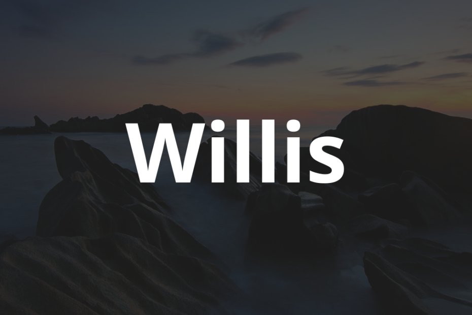 Significado do nome Willis