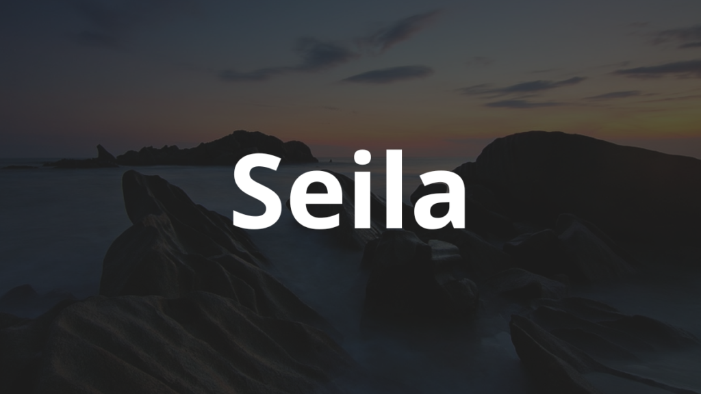 Significado do nome Seila: História e origem! 1 Significado do nome Seila