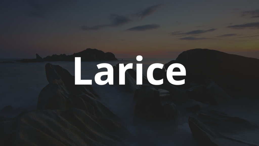 Significado do nome Larice
