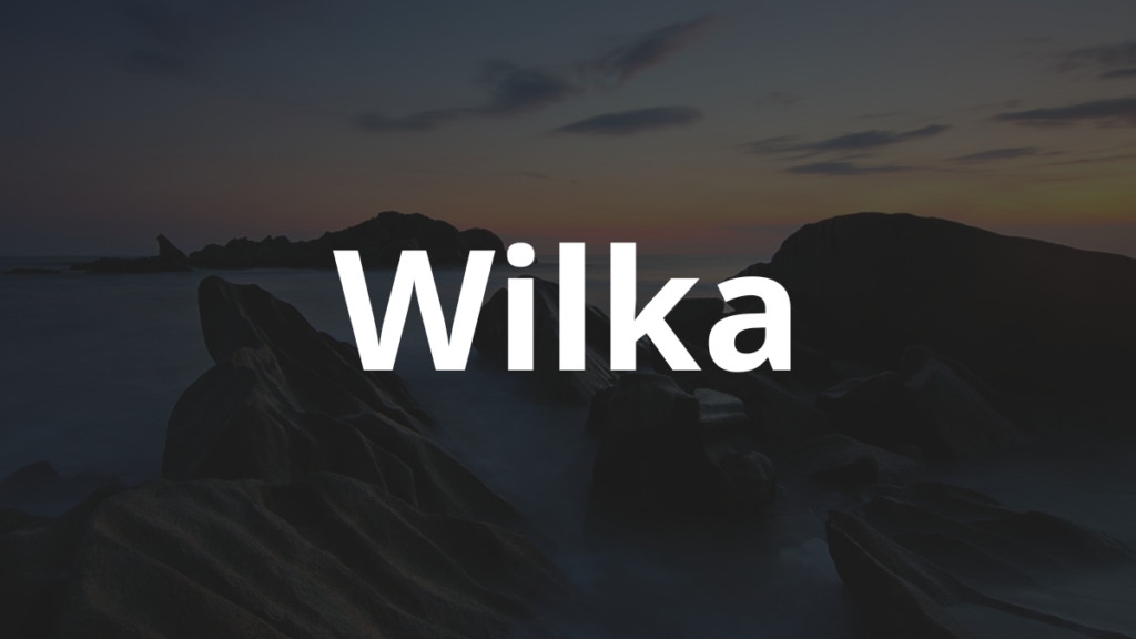 Significado do nome Wilka: História e origem! 1 Significado do nome Wilka