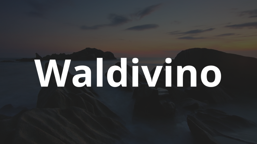 Significado do nome Waldivino