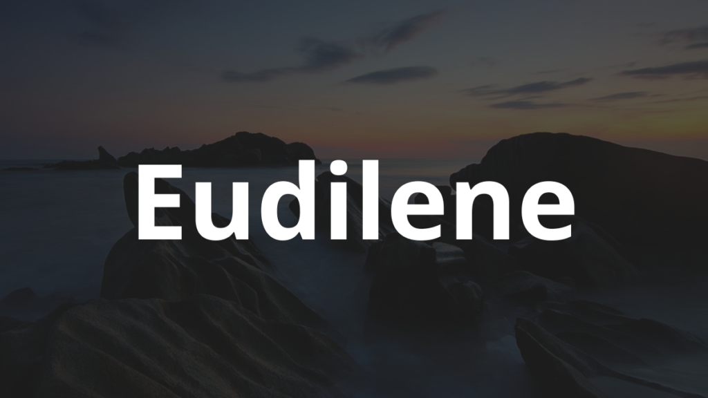 Significado do nome Eudilene