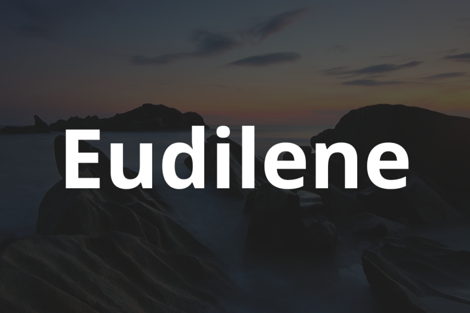 Significado do nome Eudilene: História e origem! 8 Significado do nome Eudilene