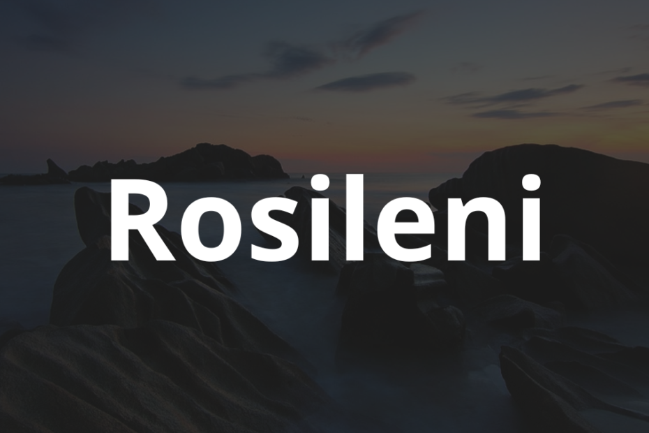 Significado do nome Rosileni: História e origem! 12 Significado do nome Rosileni