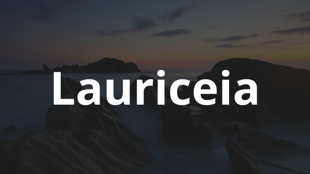 Significado do nome Lauriceia