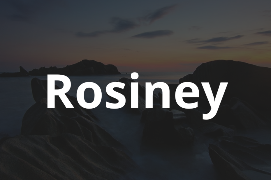Significado do nome Rosiney